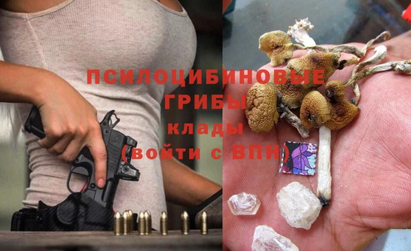 PSILOCYBIN Белоозёрский