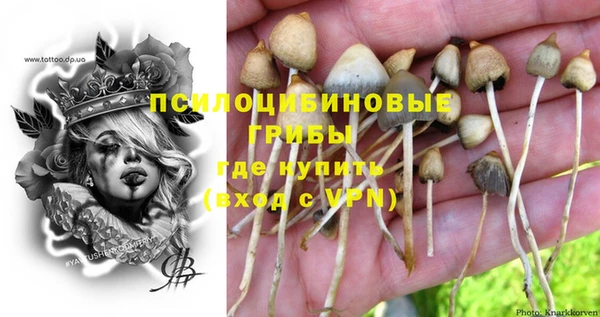 мяу мяу мука Белокуриха