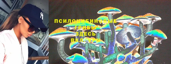 PSILOCYBIN Белоозёрский