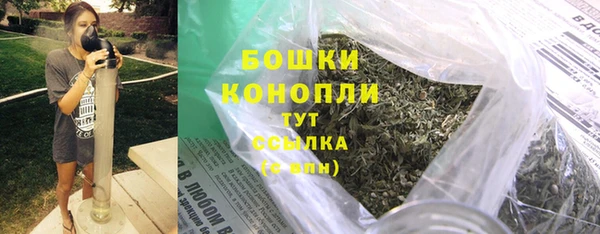 PSILOCYBIN Белоозёрский