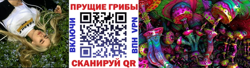 Псилоцибиновые грибы мицелий Гремячинск